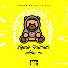 Ozuna x Nicky Jam x Anuel aa - Siguelo Bailando x Whine Up(TGSN Mashup)