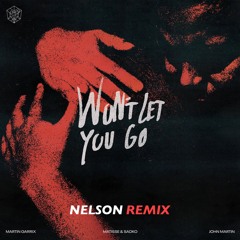 Martin Garrix, Matisse & Sadko, John Martin - Won’t Let You Go (Nelson Remix)