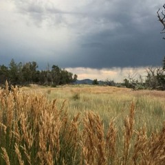 Live at Glob 9/7/24 - At The End Of The Road