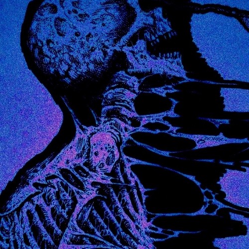 skin-demo version