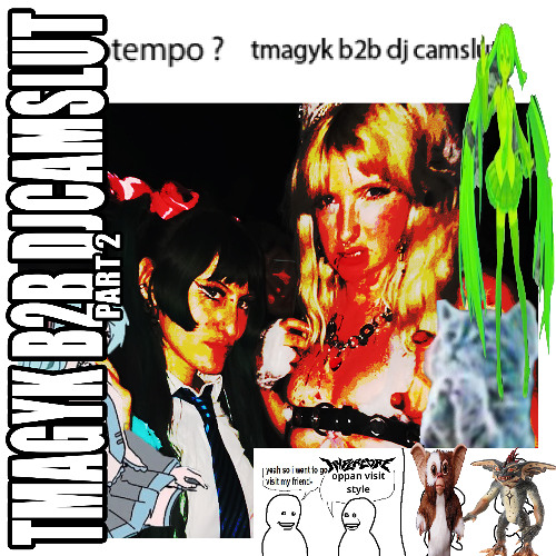 hypercore url : TMAGYK B2B DJ CAMSLUT (part2)