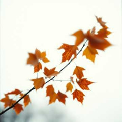 Dj.DamianR - Viento de Septiembre (inspired by the poem of Roma Lemańska)