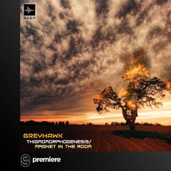 Premiere: Greyhawk - Thigmomorphogenesis - Beep