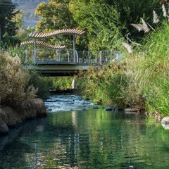 קרית שמונה העיר שהמציאה את עצמה מחדש #2 | חזון ותכנית