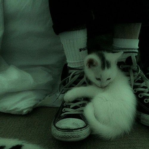 bts - converse high (sped up)