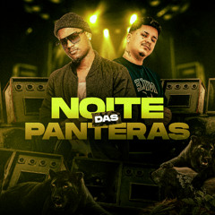 NOITE DAS PANTERAS - DJ SALGUEIRINHO & MC DU BLACK