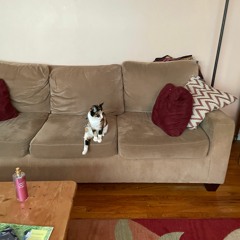 8 - Audio 1 [2021 - 10 - 17 203544]