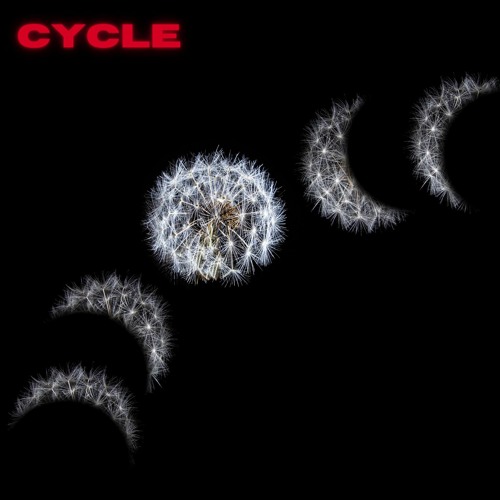 Cycle