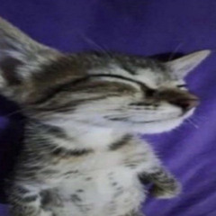 look its jimmy [rill3t]