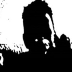 Electrospi'Rit sauvage Sylc