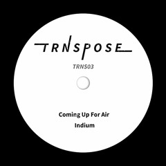 Sam Haskin - Coming Up For Air