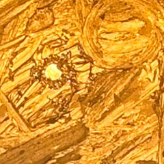 черный кот