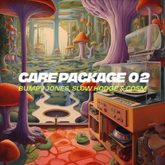 Care Package 02: Bumpy Jones, Slow Hodge & Cosm