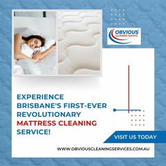 Revitalize Your Sleep Haven With Professional Mattress Cleaning Services