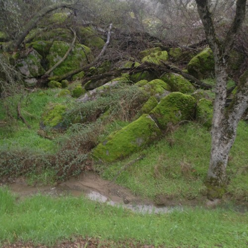 The Way I Feel Aint The Same(prod. jxsie beats)