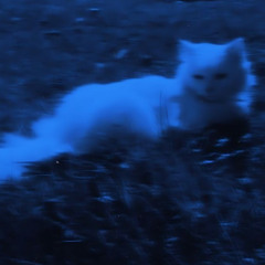 KRISTIEE- Dirty( remix by PAINFULL)