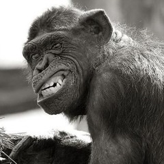 Dj Sneak.. Friday Feeling