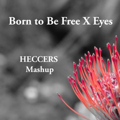 Born To Be Free X Eyes (HECCERS Mashup)
