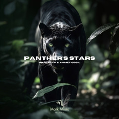 HilalDeep & Ahmet Cegil - Panther's Stars