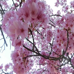 za chwile lato (feat. racc)