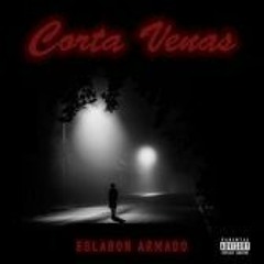 Dime Porque - Eslabon Armado Preview