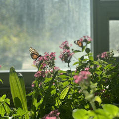 Loved By You - Alexis Diaz (Cover)