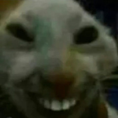 Faut que tu bouges de là