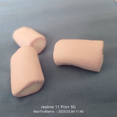 txutxes