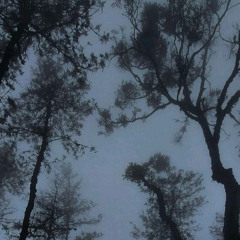 BLESSED ft SHZZY 8ANDO