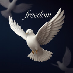 Freedom