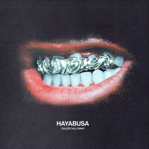 Caleb Calloway, VEI HABACHE, Joyce Santana - Euphoria