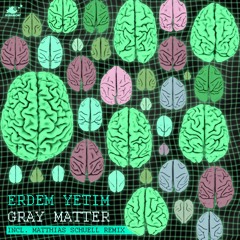 Erdem Yetim - "Gray Matter" (feat. Erman Danisment)