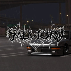 SalmonJ - Distortion