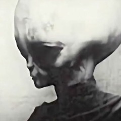 Extra Extra Terrestrial