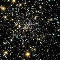 Cluster