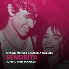 Shawn Mendes & Camila Cabello - Señorita (Jurri & Tony Bootleg) *filtered version*