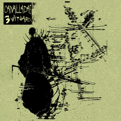 Canalladas Vol. 3