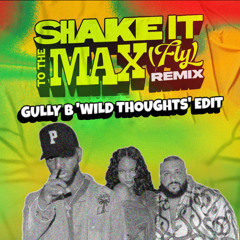 DJ Khaled, Rihanna & Bryson Tiller - Wild Thoughts (Gully B 'Shake It To The Max' Edit)