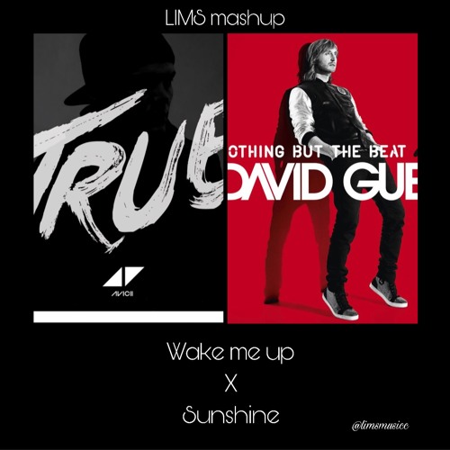 Avicii Wake Me Up Remix David Guetta Stream Avicii X David Guetta - Wake Me Up X Sunshine (Lims mashup) by
