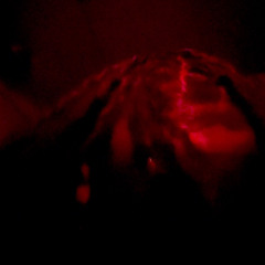 SIR GLEEK(PROD.SICKBOYLEFUN)
