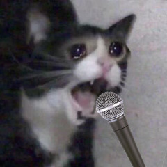 sad cat/غمگین ترین اهنگ تاریخ