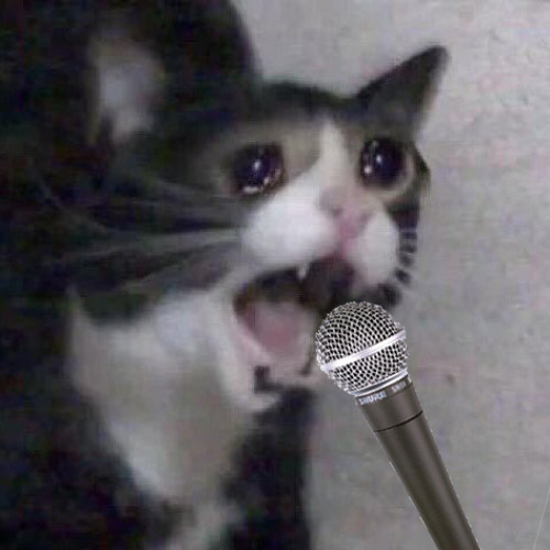 sad cat/غمگین ترین اهنگ تاریخ