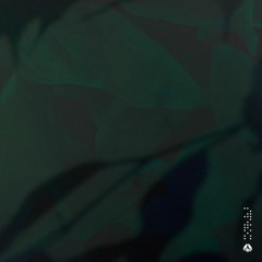 Verdance - Fight The Tide