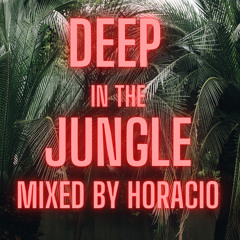 Horacio Deep In The Jungle Mix