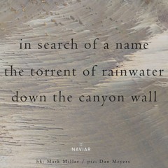 haiku #505: in search of a name / the torrent of rainwater / down the canyon wall