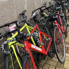 안녕하세요 시발새끼들아