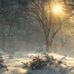 Winter In Lockdown