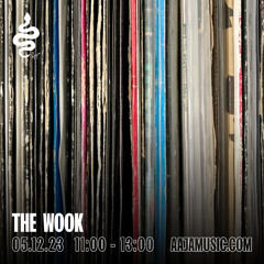 The Wook - Aaja Channel 1 - 05 12 23