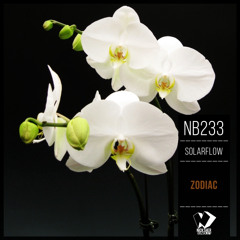 SolarFlow - Gemini (Original Mix)