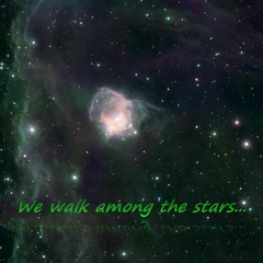 We walk among the stars...